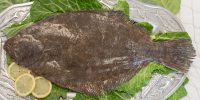 Flounder