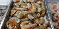 Jumbo Shrimp