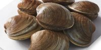 Clams - Cherrystone