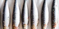 Sardines
